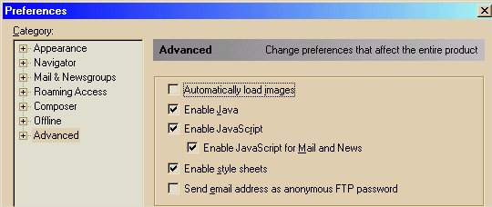 Screenshot of Netscape preferences window